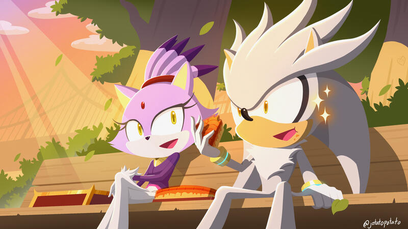 Blaze the Cat and Silver the Hedgehog are all created and owned by SEGA.